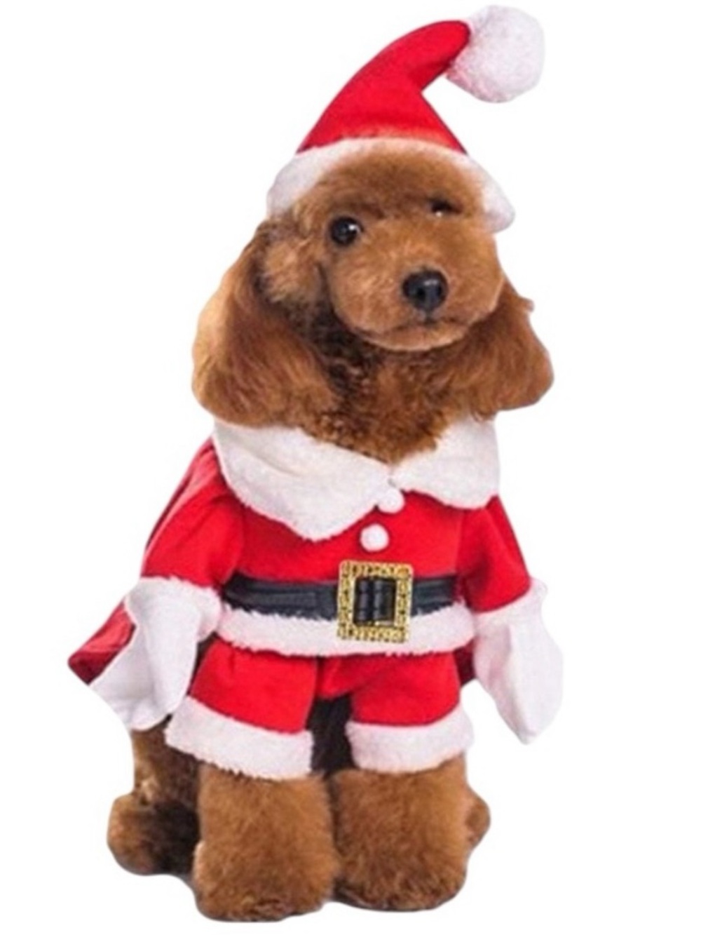 Santa Claus Christmas Dog Costume